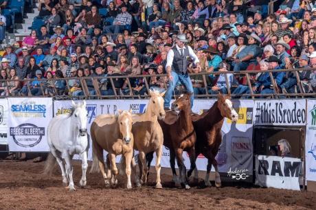 DAN JAMES – SPECIALTY ENTERTAINMENT