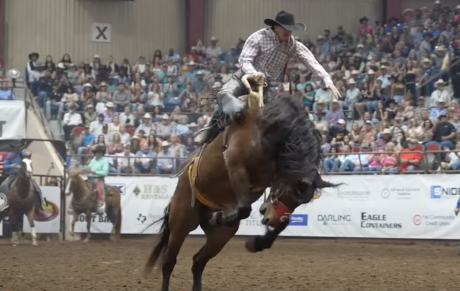 Dirty Jacket- 2025 San Angelo Rodeo
