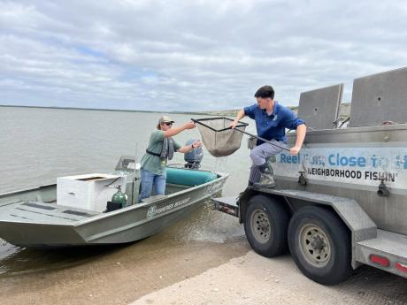 The O.H. Ivie and O.C. Fisher reservoirs were stocked Wednesday with Lone Star Bass fingerlings by the Texas Parks and Wildlife Department.