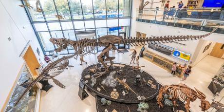 Night at the Mayer Museum