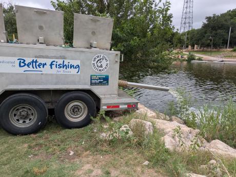 The Texas Parks and Wildlife Department’s Inland Fisheries Division stocked channel catfish into the Concho River in downtown San Angelo on Friday, June 19, 2026.