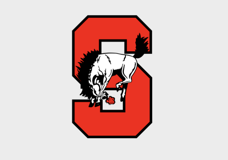 Sonora logo