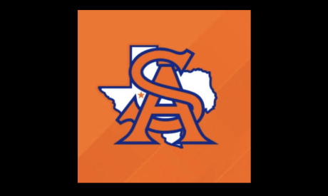 Central Bobcats logo