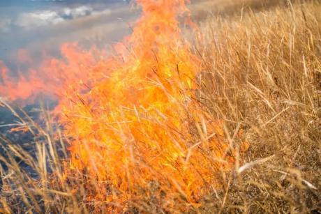 Grass Fire