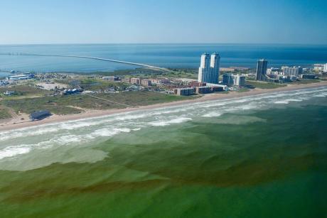 Red tide visible in the water near South Padre Island in October 2009.