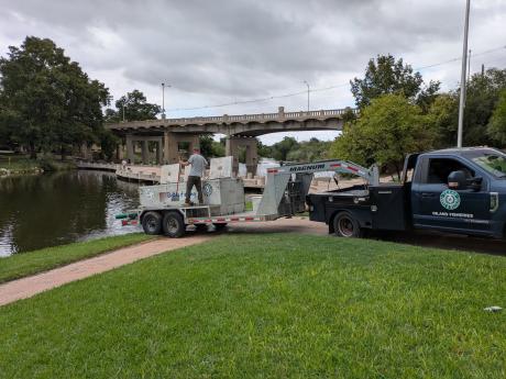 Channel catfish were stocked in the Concho River in downtown San Angelo on Friday, Oct. 2. They will only be stocked there two more times this year.
