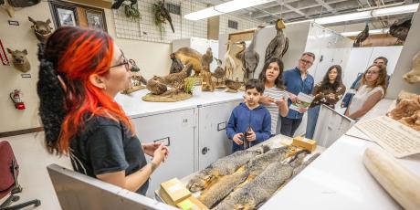 Angelo State Natural History Collections Tour