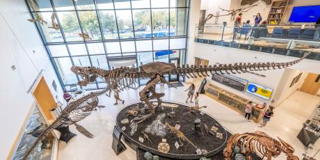ASU Mayer Museum