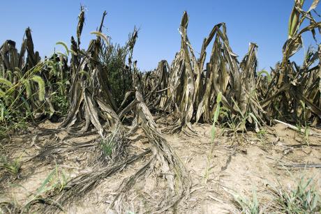 Governor Rick Perry has extended the drought disaster declaration. (Photo courtesy of thegazette.com)