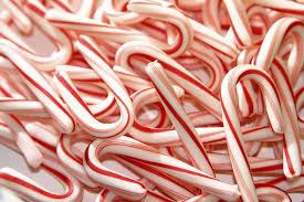 Candy Canes (photo courtesy of tampabay.com)