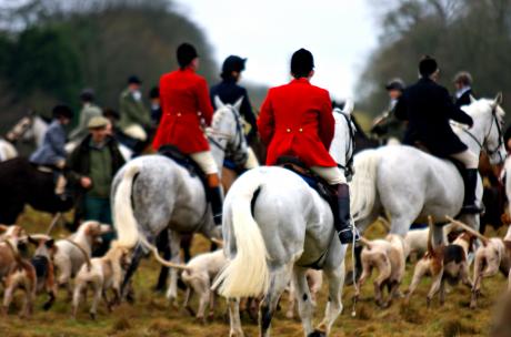 A modern foxhunt (photo courtesy of flickr)
