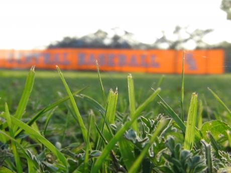 The fate of four San Angelo baseball and softball fields rests with City Council, as they decide whether or not to allot water resources to SAISD. (LIVE! Photo by Cheyenne Benson)