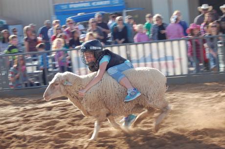 Kids took to the dirt on the midway Saturday for some mutton bustin' (LIVE! Photo by Kelsey Basquez)