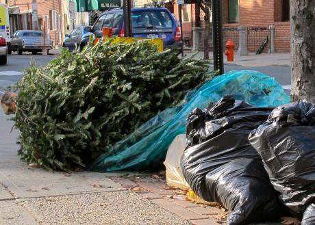 Don't throw your trees in the street or in a dumpster, the city has set up two drop off locations. (Photo courtesy of chesapeakecompost.com)