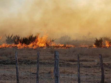 Wildfire Near Eldorado.  (LIVE! Archive Image)