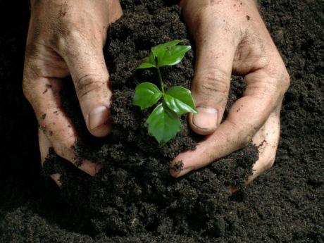 Many of the nutrients in synthetic fertilizers are artificially made from petroleum. (Photo courtesy of environment.nationalgeographic.com)