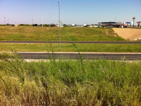 Grass and weeds on Highway 67 East and West and the Main Street Exit. (LIVE!Photo/Benjamin Hettick)