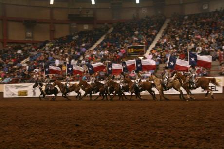 Livestock at the San Angelo Stock Show and Rodeo (LIVE! Photo/Justin Bancroft)
