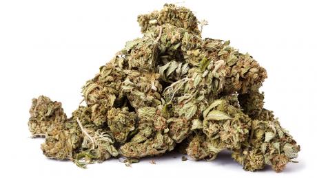 Marijuana buds.  (LIVE! Archive Image)