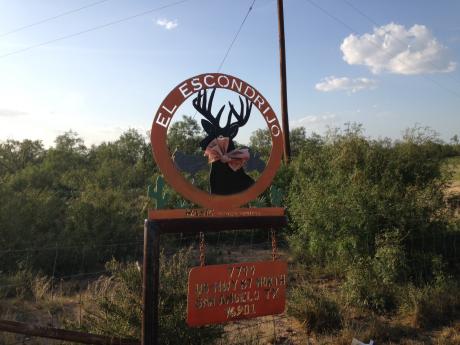 Bees swarm on a Tahoe in north San Angelo. (LIVE! Photo/John Basquez)