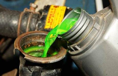 The petrochemicals in antifreeze are also found in foods and other things. (Photo courtesy of robert.com.ph)
