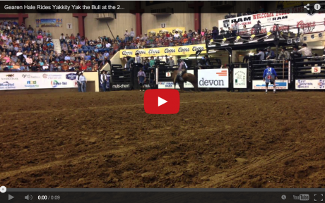 San Angelo Stock Show and Rodeo 2014 Third Performance Bull Riding (LIVE! Photo/YouTube)