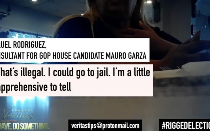 Project Veritas Voting Harvesting Scheme