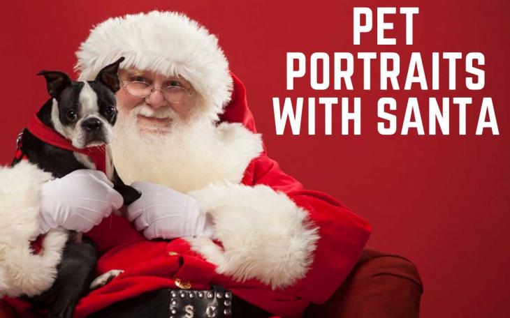 Pet portraits with Santa at the Railway Museum