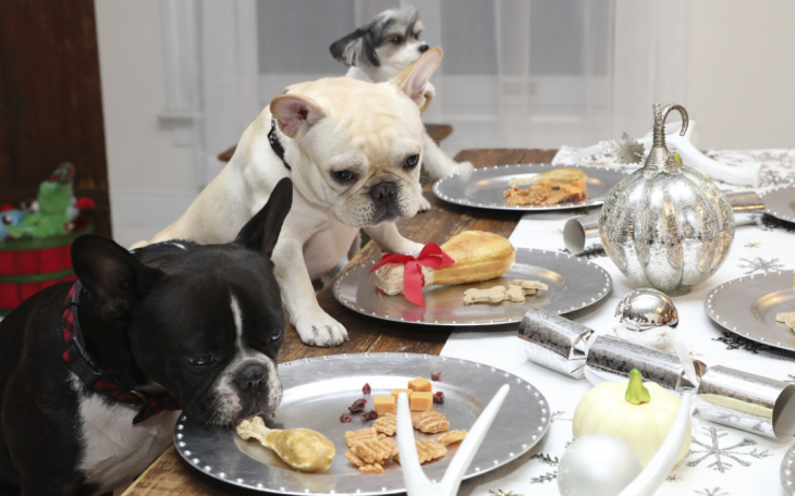 Dogs Eating Safe Thanksgiving