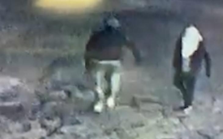 Thieves on Thanksgiving Night at Bes-Tex