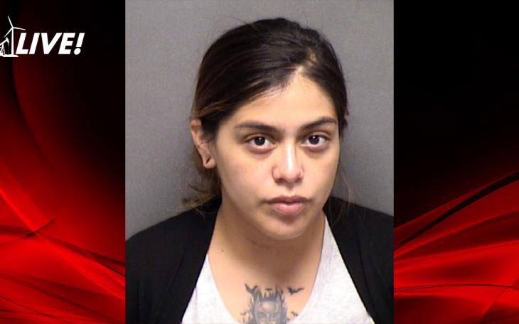 Woman Rammed Boyfriend With Car After Argument