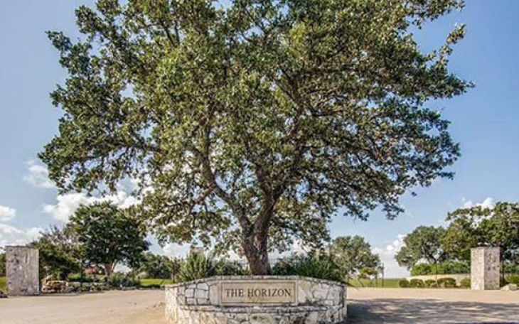 The Horizon Subdivision