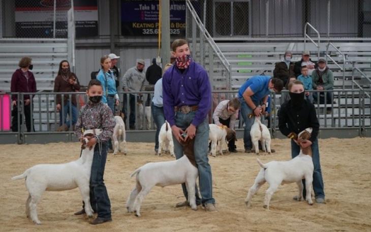 Tom Green County Goat Show