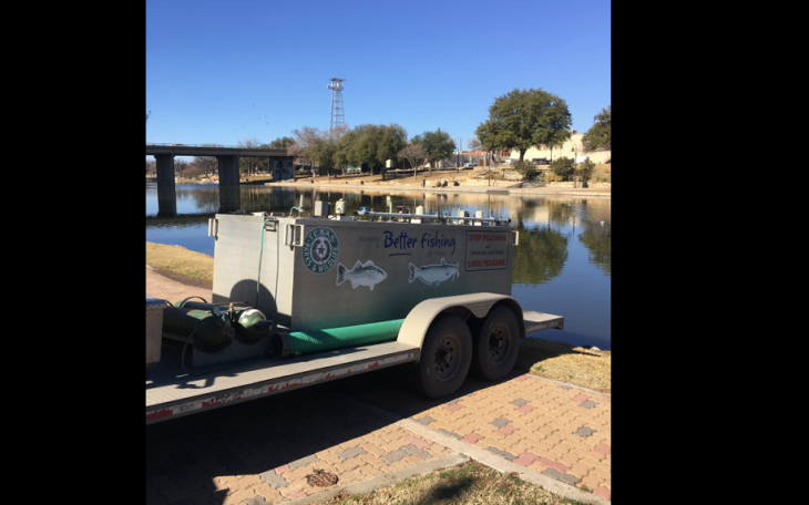 Fishing Holes Across San Angelo Stocked with Rainbow Trout
