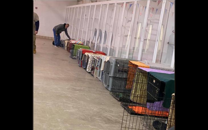 Cold Weather Animal Shelter