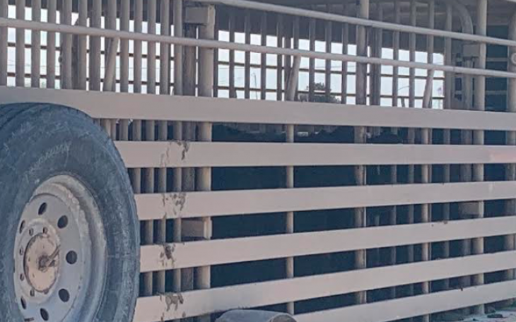 Crash on 19th and N. Bryant Involving Stock Trailer