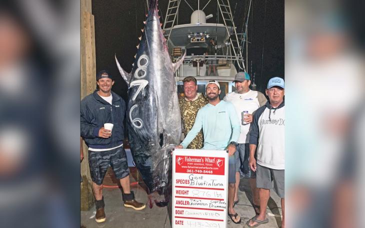 Texas Record Bluefish Tuna 10'1&quot;, 876 lbs.