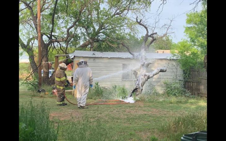 Bee Hive Attack | Breckenridge Fire Department