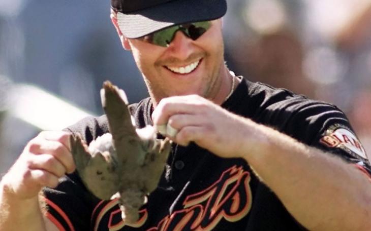 Arizona Diamondbacks pitcher Randy Johnson