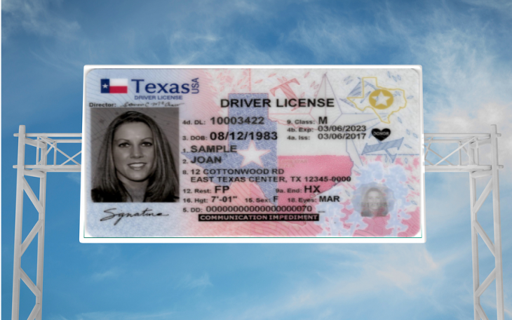 Sample Texas License
