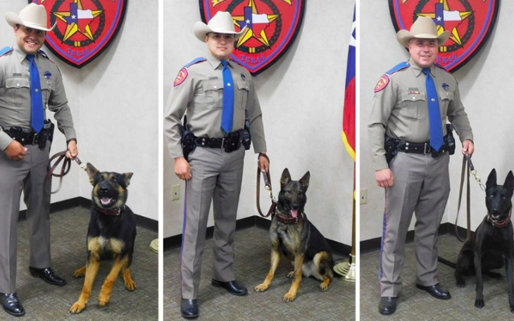 Reno (L) | Eztold (C) | Tara (R) | DPS