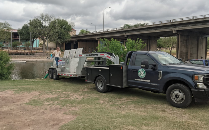 Catfish Dumped Into Concho River
