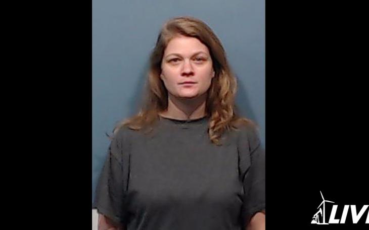 Ashley Alaniz | Taylor County Jail