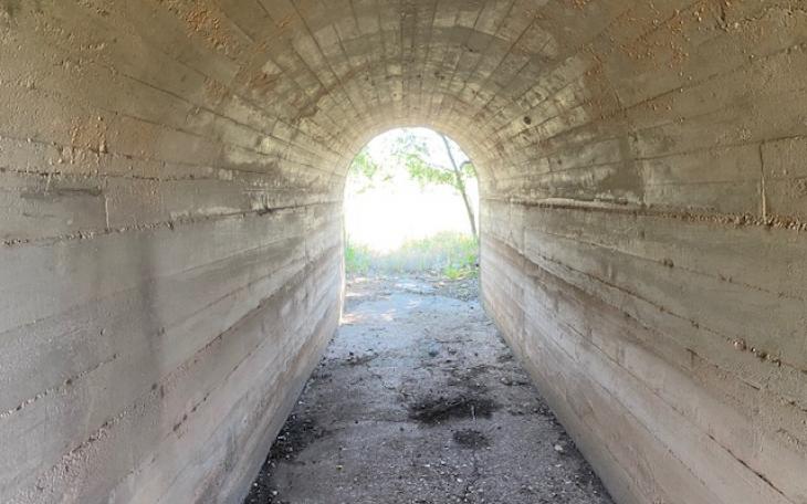 Abandoned Rail Road Tunnel State Park (LIVE! Photo/Yantis Green)