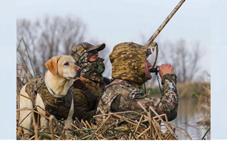 Hunting with a Dog