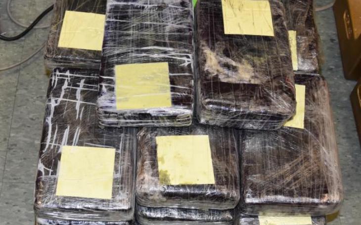 Border Agents Seize 49 Pounds of Cocaine (Contributed/CBP)