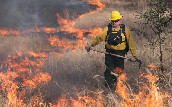 Chief Eddy Wood | Brownwood Police Department