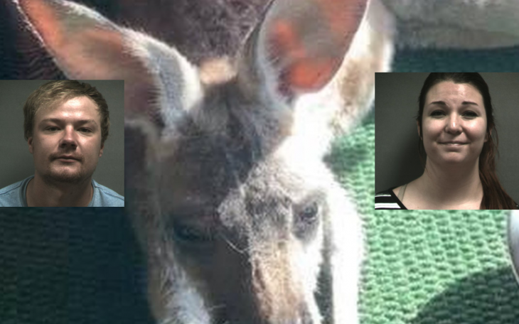 Christopher Potts and Megan Sandefer