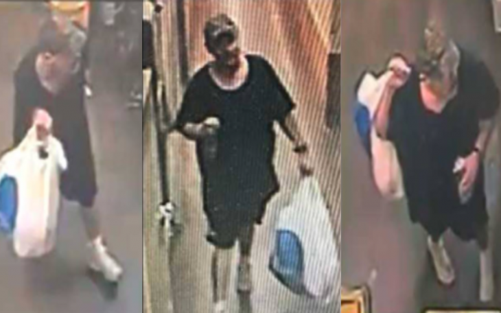 Sunset Mall Burglary Suspect
