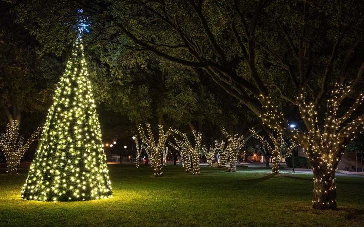 Angelo State Annual Christmas Tree Lighting | Facebook